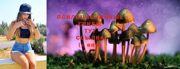 молекула духа Арсеньев