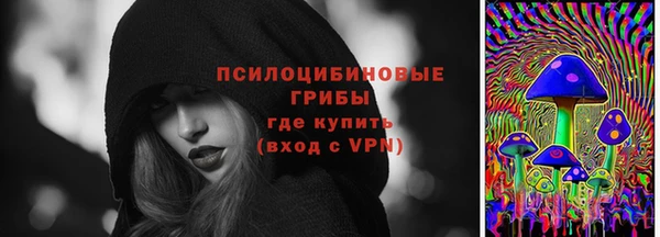 молекула духа Арсеньев