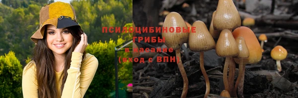 молекула духа Арсеньев