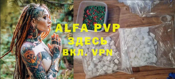 молекула духа Арсеньев