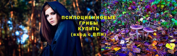 молекула духа Арсеньев