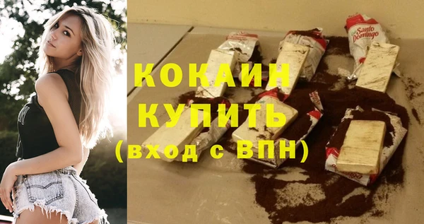 молекула духа Арсеньев