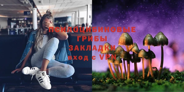 молекула духа Арсеньев